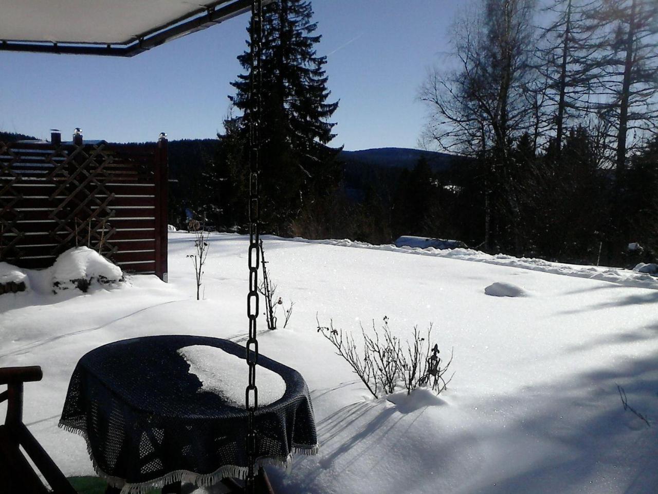 Sonnige-Waldruhe-Am-Skiberg Hotel Feldberg  Luaran gambar